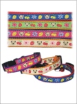 Leash + Collar