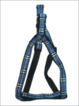 Harness + Leash (Style A)