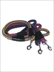 Leash