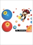 Dog Toys