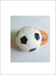 Dog Toys